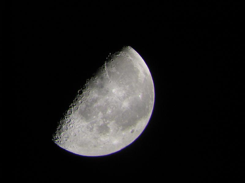 IMG_4238.JPG