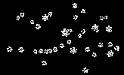 Galileos_Pleiades