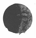 Giugno_10-Lett_10-276-1