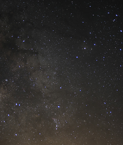 Scorpius Scorpius