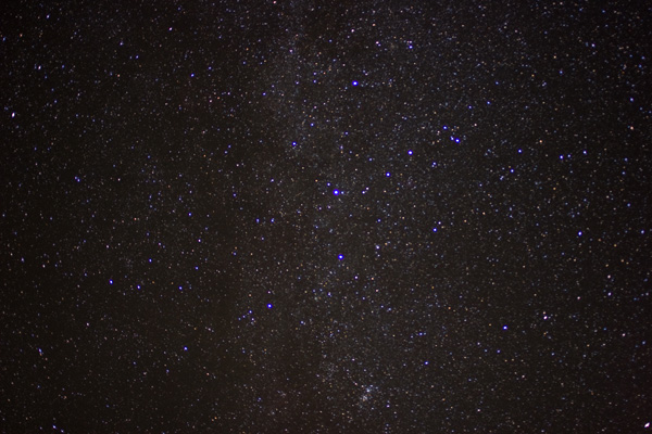 Cassiopeia Cassiopeia