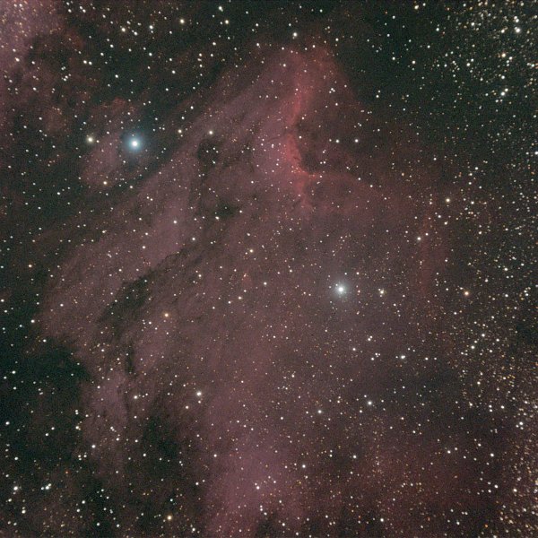 The Pelican Nebula The Pelican Nebula
