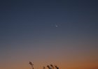 IMG_0167