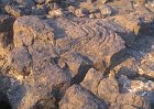 IMG_0170