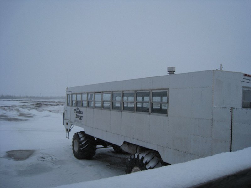 IMG_7972.JPG