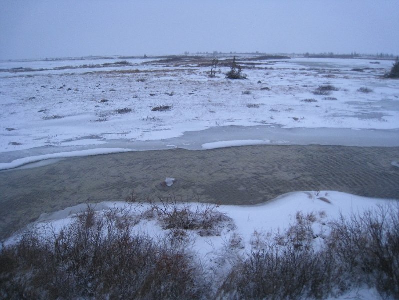 IMG_7983.JPG