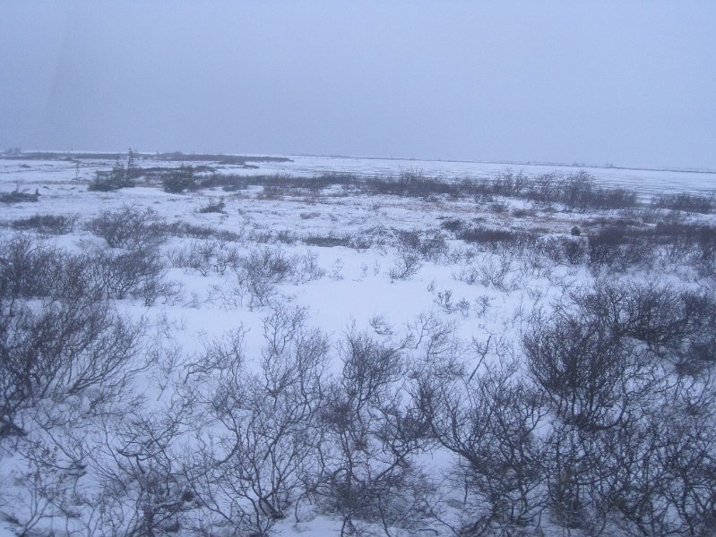 IMG_7986.JPG