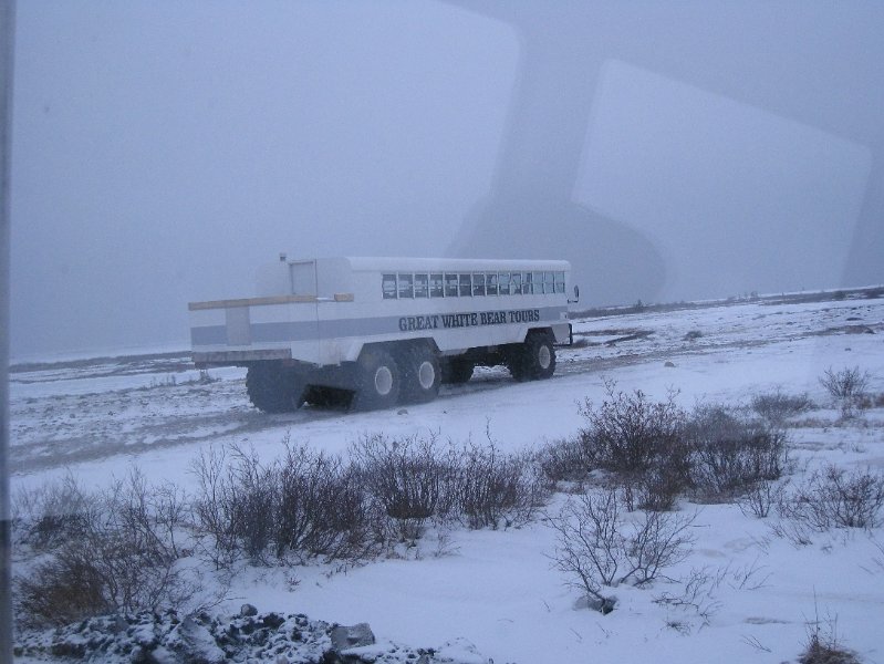 IMG_7987.JPG