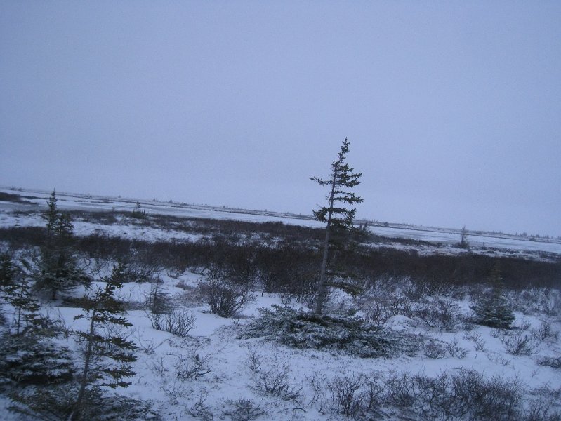 IMG_7989.JPG
