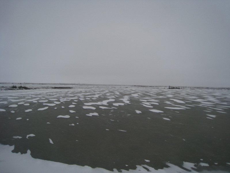 IMG_7991.JPG
