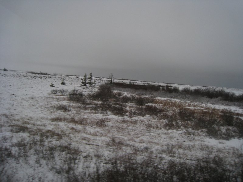 IMG_7992.JPG