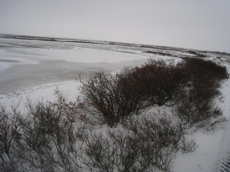 IMG_8015.JPG