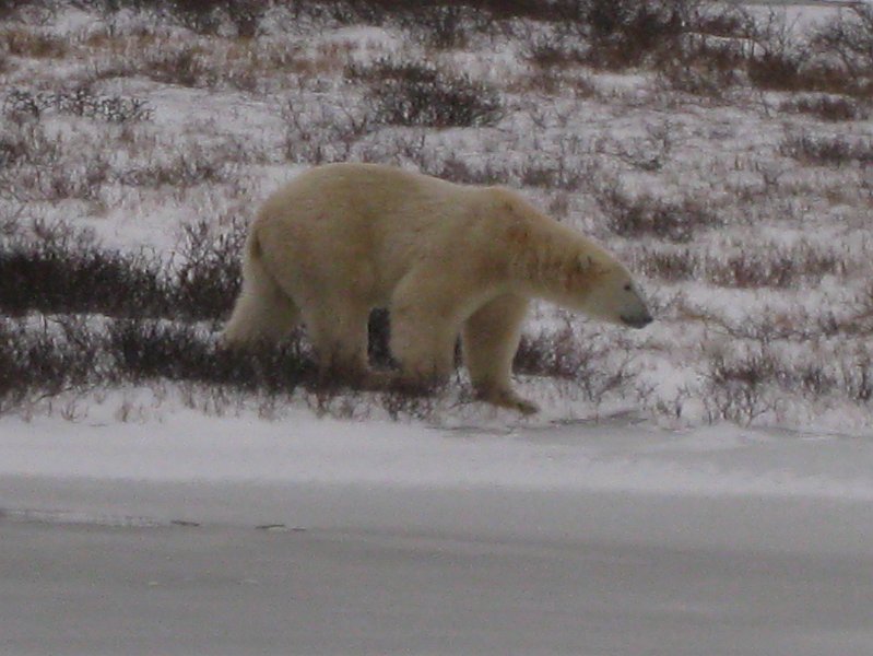 IMG_8059.JPG