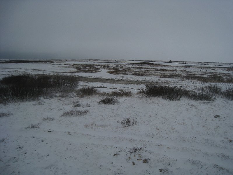 IMG_8061.JPG
