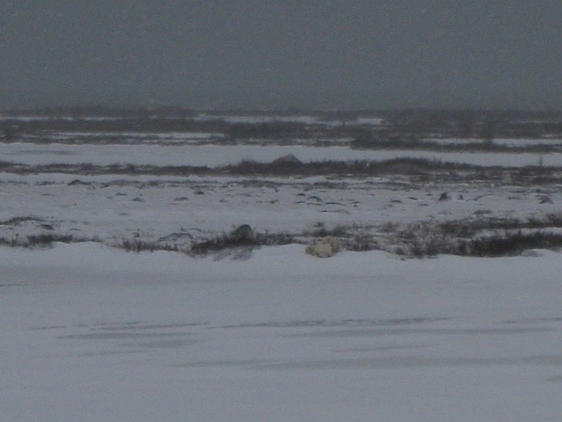 IMG_8065.JPG