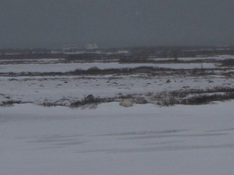 IMG_8067.JPG