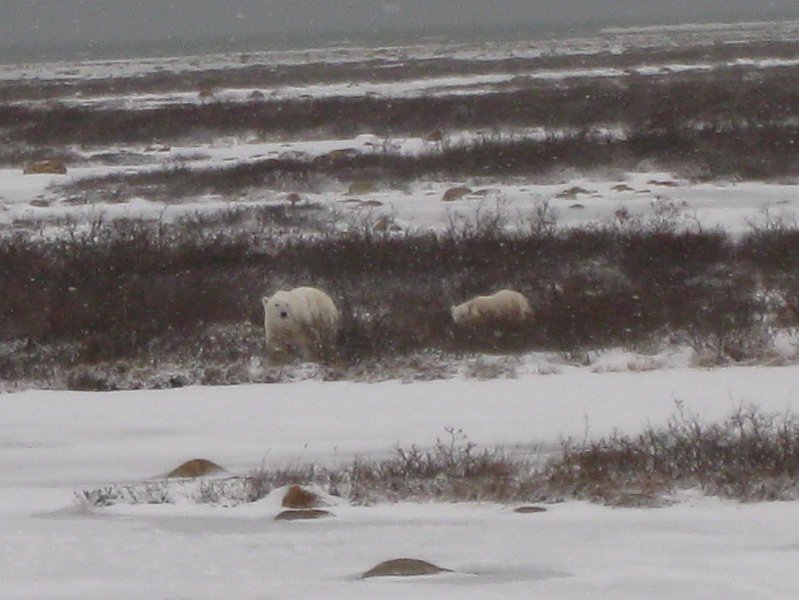 IMG_8075.JPG