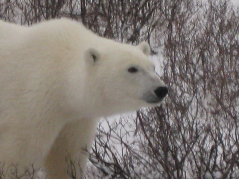IMG_8117.JPG