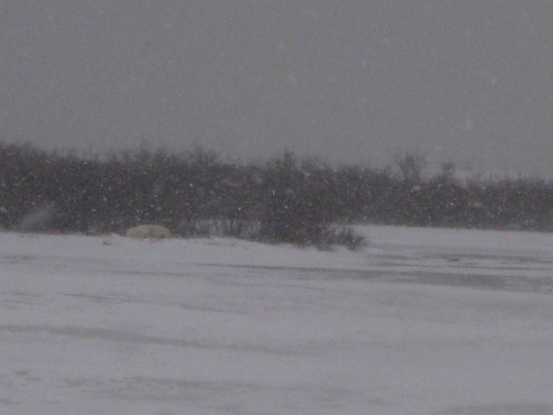 IMG_8137.JPG