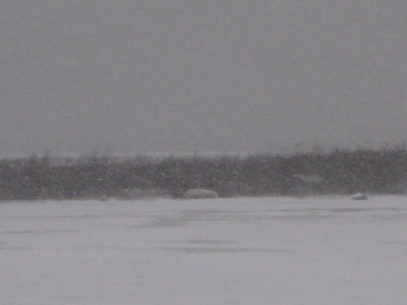 IMG_8140.JPG