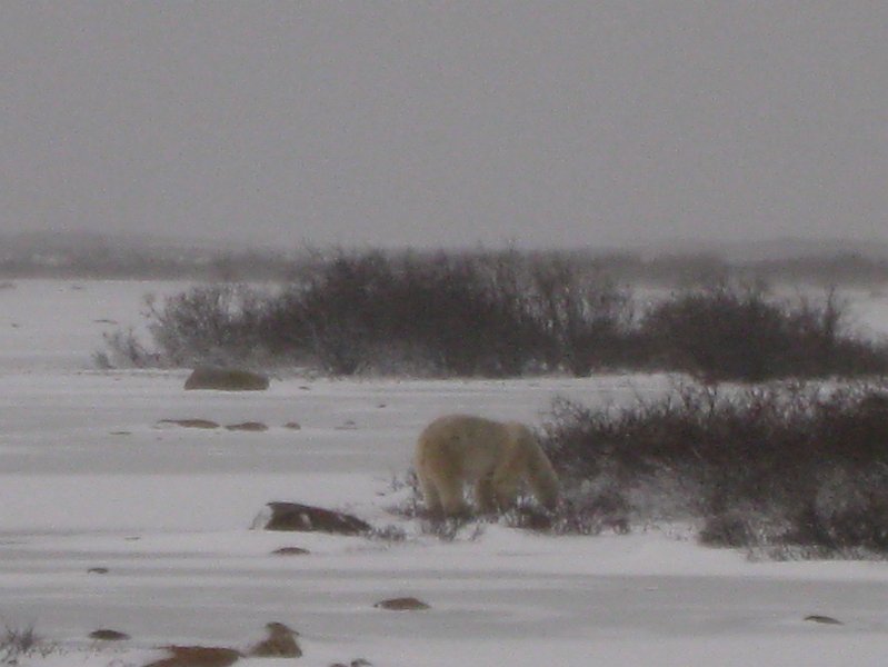 IMG_8143.JPG