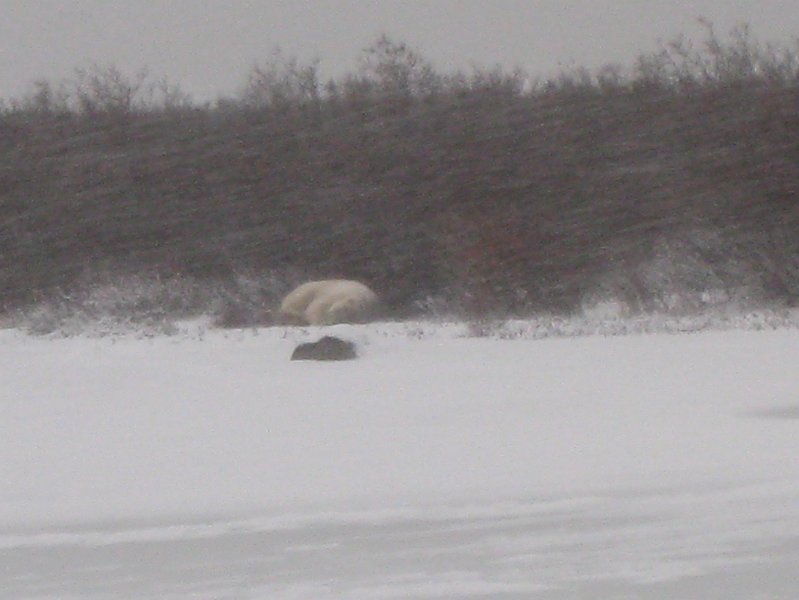 IMG_8150.JPG