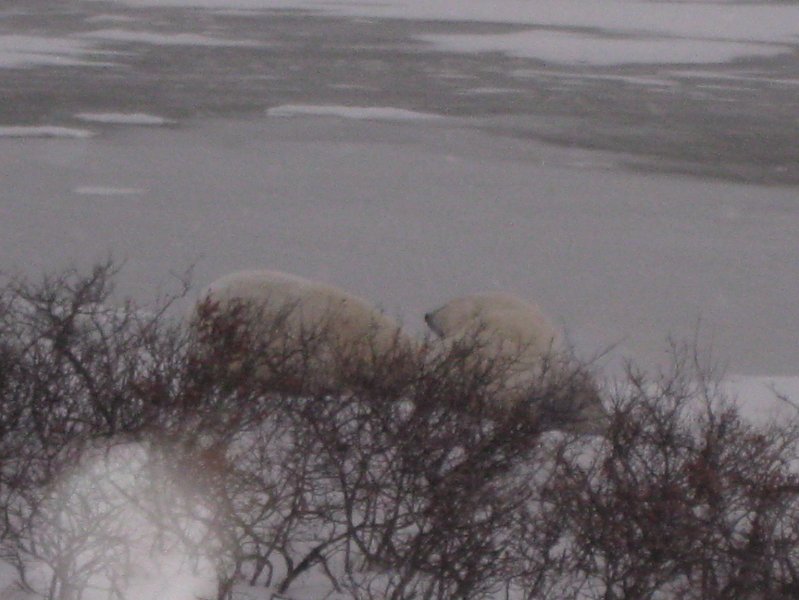 IMG_8154.JPG