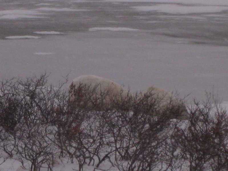 IMG_8155.JPG