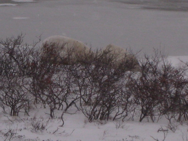IMG_8156.JPG