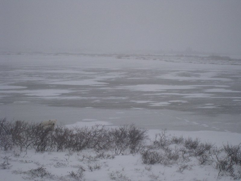 IMG_8170.JPG