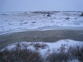 IMG_7983