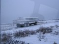IMG_7987