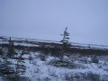 IMG_7989