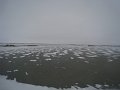 IMG_7991