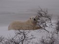 IMG_7995
