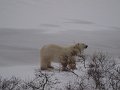 IMG_8000