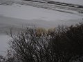 IMG_8012