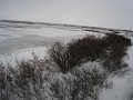 IMG_8015