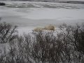 IMG_8016