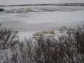 IMG_8017