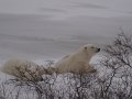 IMG_8030