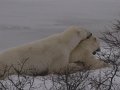 IMG_8032