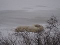 IMG_8034