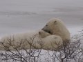 IMG_8036