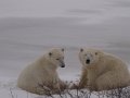 IMG_8047