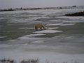 IMG_8056
