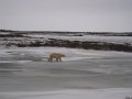 IMG_8058