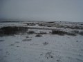 IMG_8061