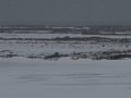 IMG_8065