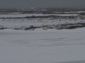 IMG_8066